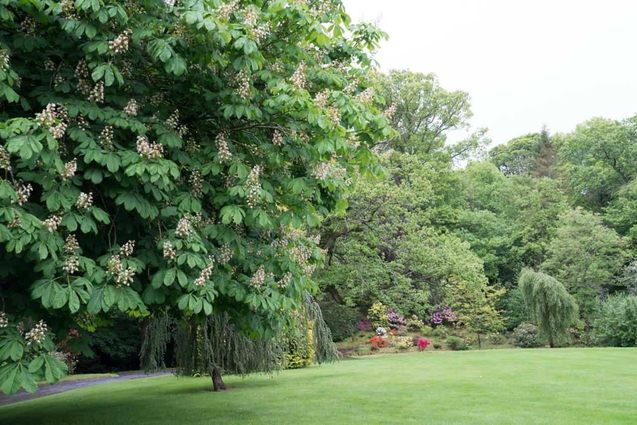 스털링 West Plean House B&B 외부 사진